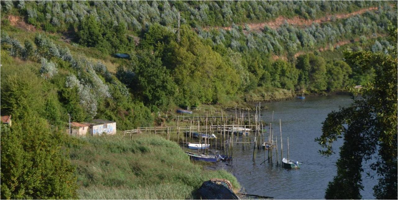 La Quintana Del Castillo Soto Del Barco Dış mekan fotoğraf